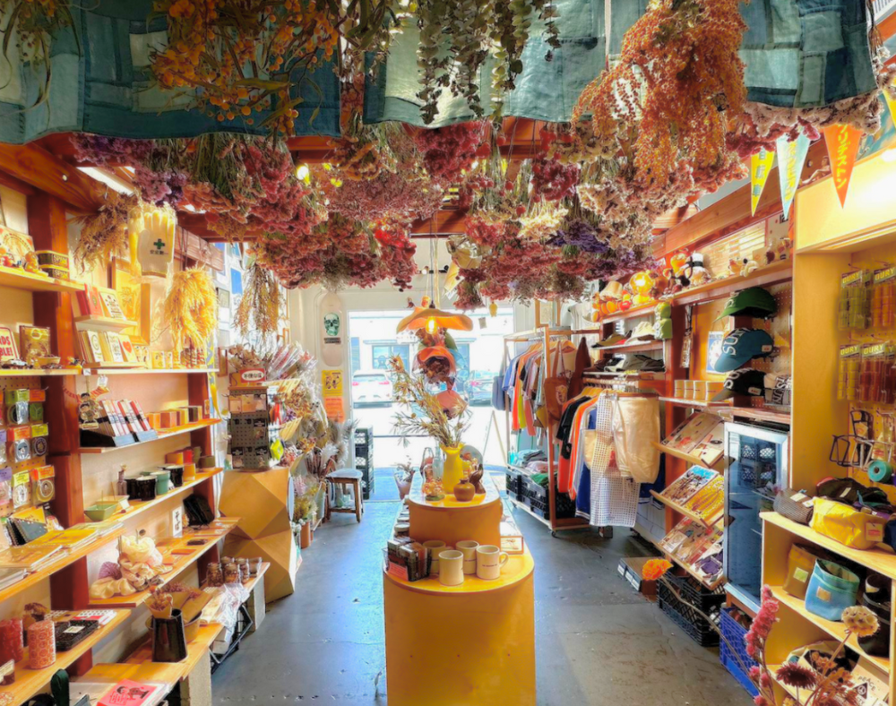 A colorful shop interior in Costa Mesa with shelves displaying mugs, clothes, and gifts. Dried flowers hang from the ceiling as sunlight streams in, creating a warm and inviting atmosphere perfect for a Costa Mesa travel blog feature.