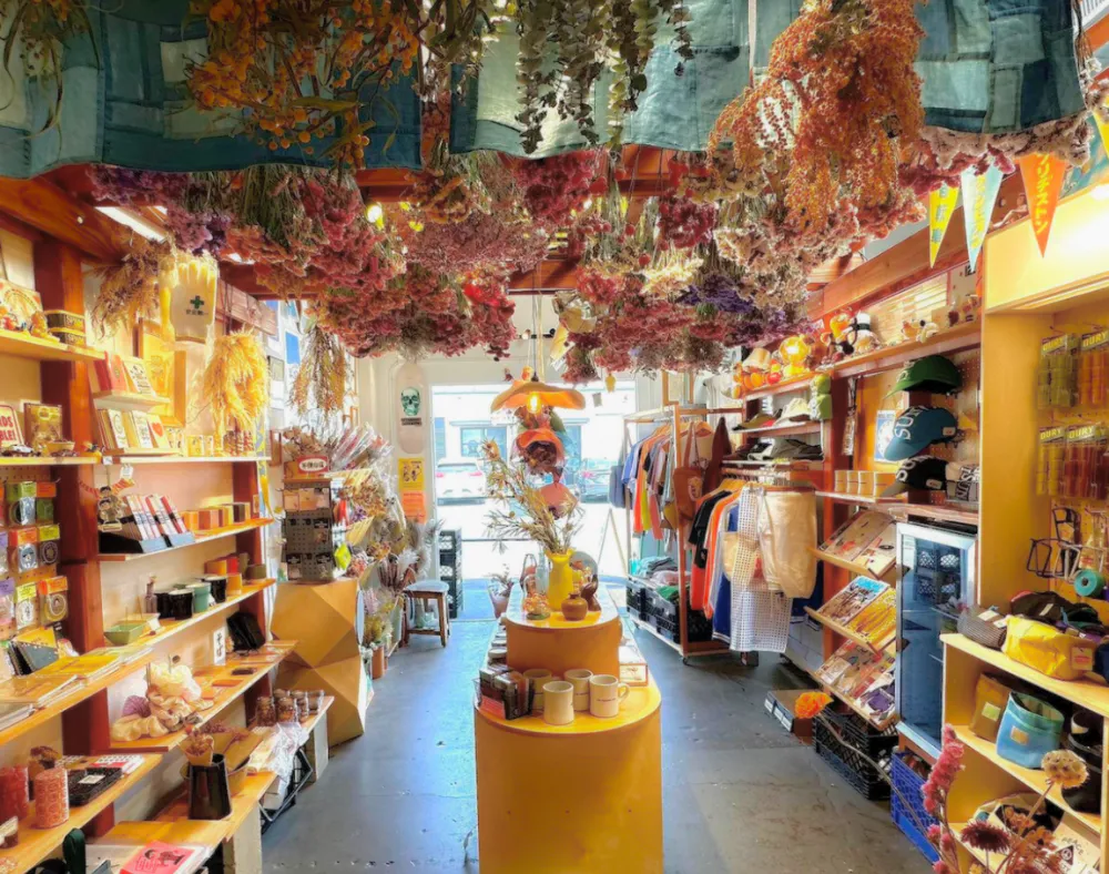 A colorful shop interior in Costa Mesa with shelves displaying mugs, clothes, and gifts. Dried flowers hang from the ceiling as sunlight streams in, creating a warm and inviting atmosphere perfect for a Costa Mesa travel blog feature.