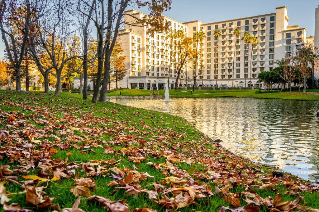 A large hotel building stands behind a small lake, with autumn trees and fallen leaves covering the grassy shore in the foreground under a clear sky.