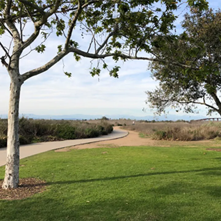 A paved path curves through a grassy park area in Costa Mesa with trees providing shade. Bushes and open fields stretch into the distance under a partly cloudy sky, reminiscent of the serene landscapes of Mesa Verde.