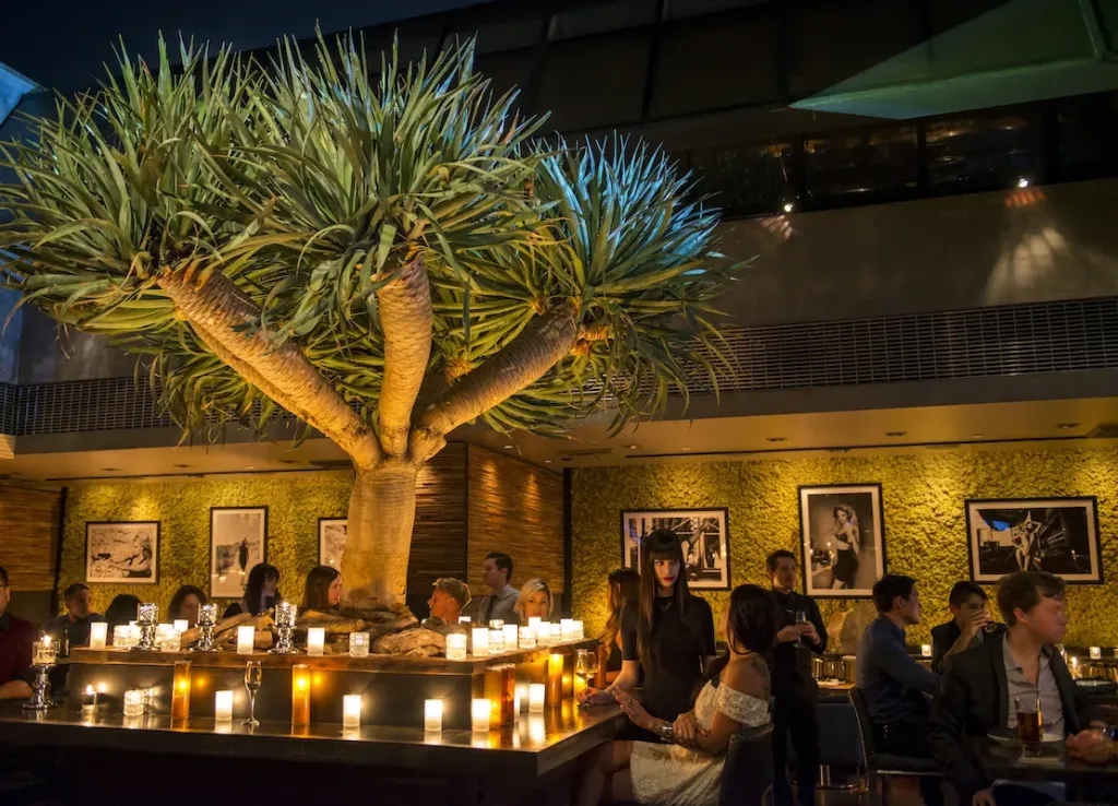 People sit around a large bar with a tall, sculptural tree in the center, surrounded by glowing candles. The dimly lit space has green, textured walls decorated with black and white photographs.