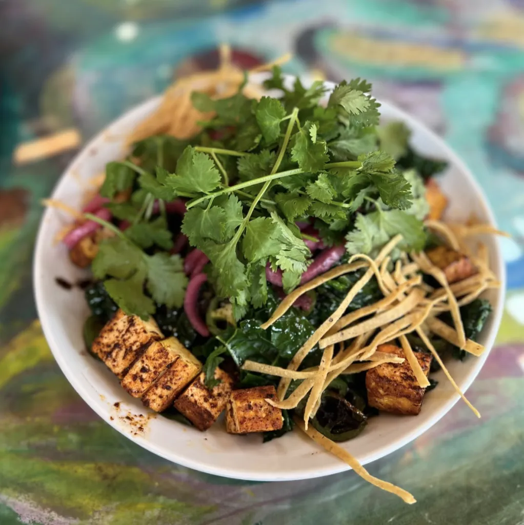 A colorful salad with grilled tofu cubes, tortilla strips, red onions, leafy greens, and fresh cilantro is served on a white plate over a multicolored, abstract table surface.