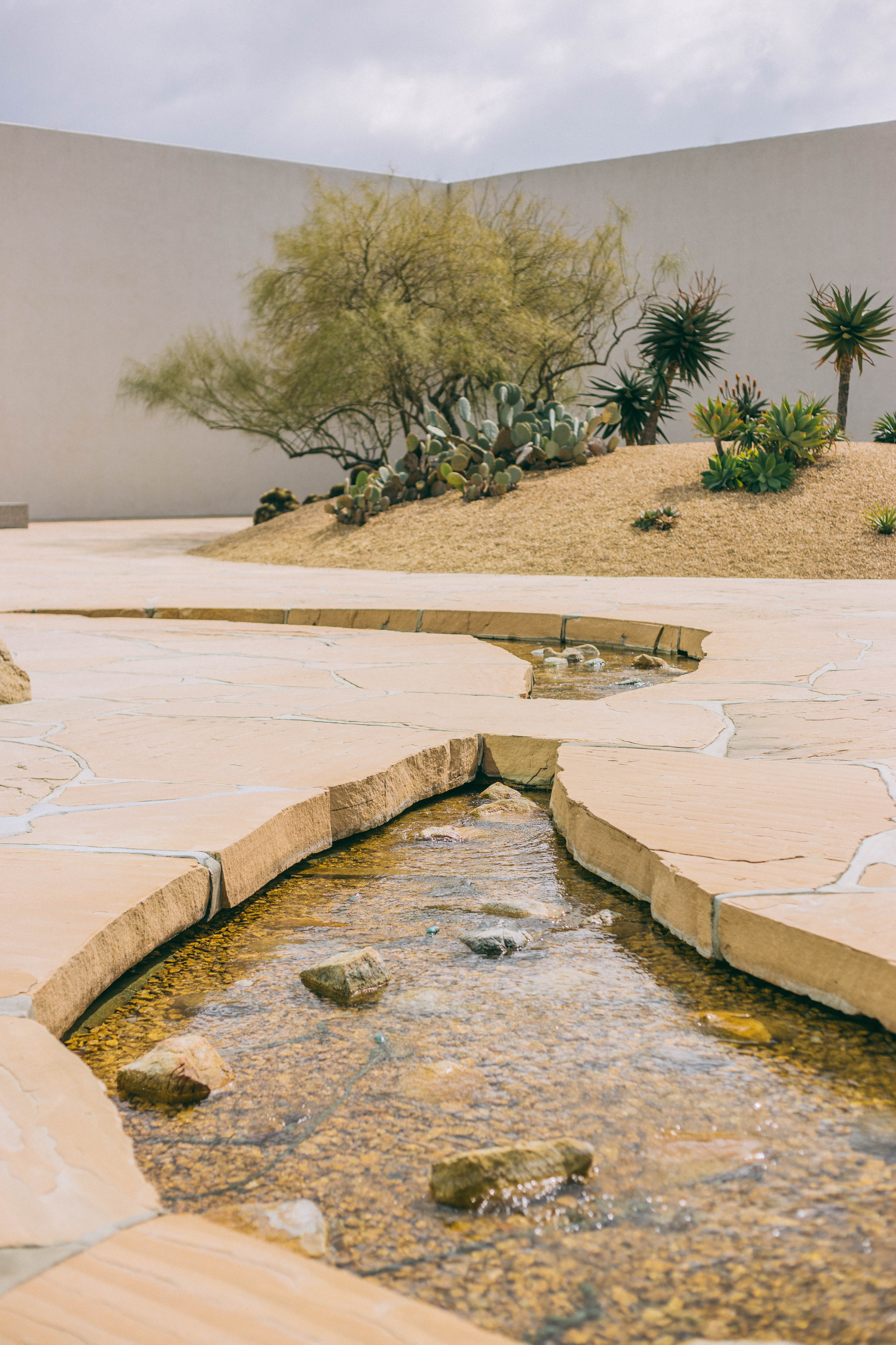 A small stream with clear water flows through a desert garden, bordered by light stone slabs, reminiscent of the Noguchi Garden Costa Mesa. In the background are cactus plants, dry grass, and a leafless tree against a high white wall.