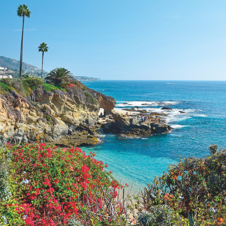 Colorful flowers and greenery frame a rocky coastline with turquoise water. Waves crash against cliffs, and a few tall palm trees and houses are visible in the background under a clear blue sky.