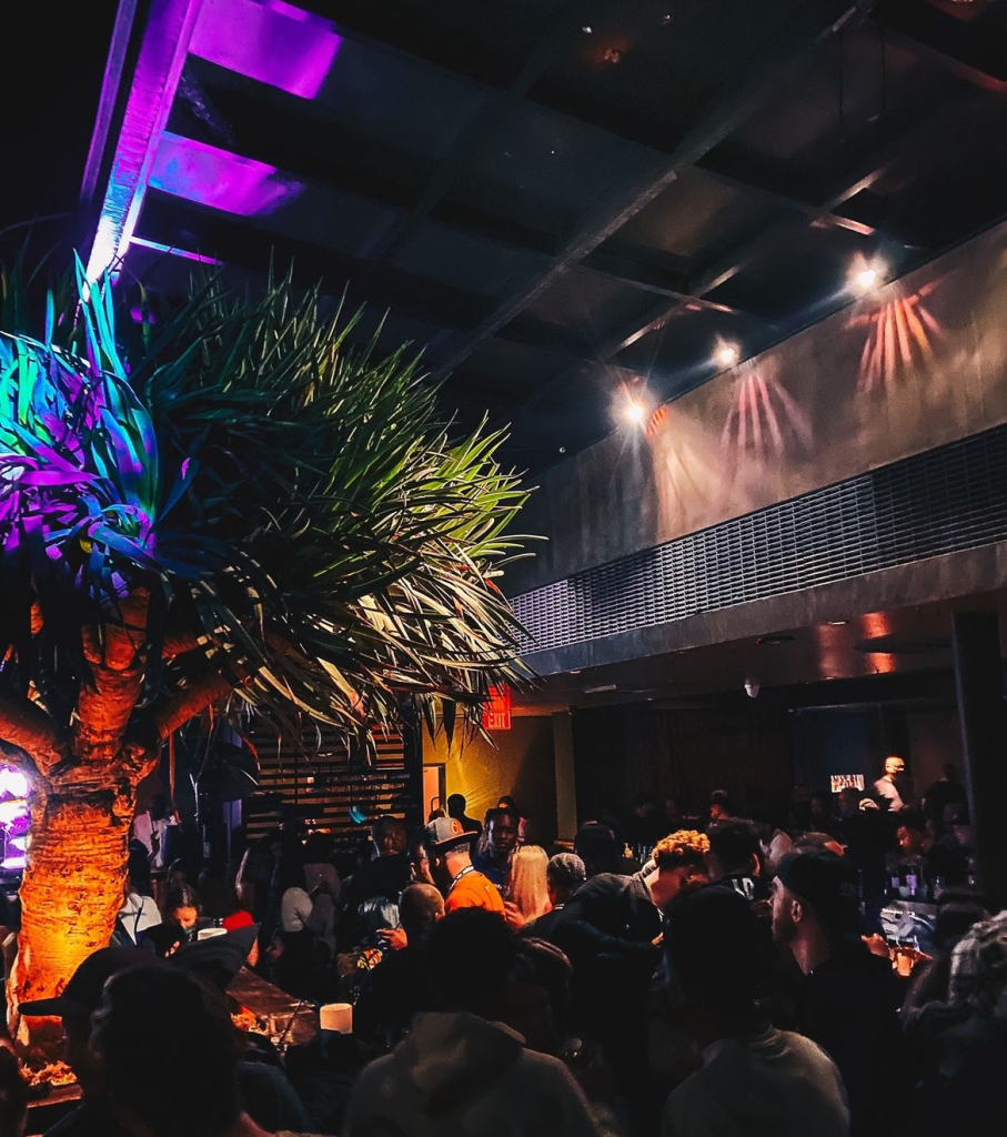 A crowded indoor venue with people socializing under colorful lights. A large potted plant with dramatic lighting stands out in the foreground, and the ceiling has spotlights casting a warm glow over the scene.