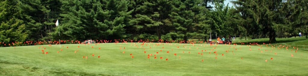 A golf green covered with numerous small red flags, surrounded by trees and a white flag marking the hole, with people and golf carts in the background.