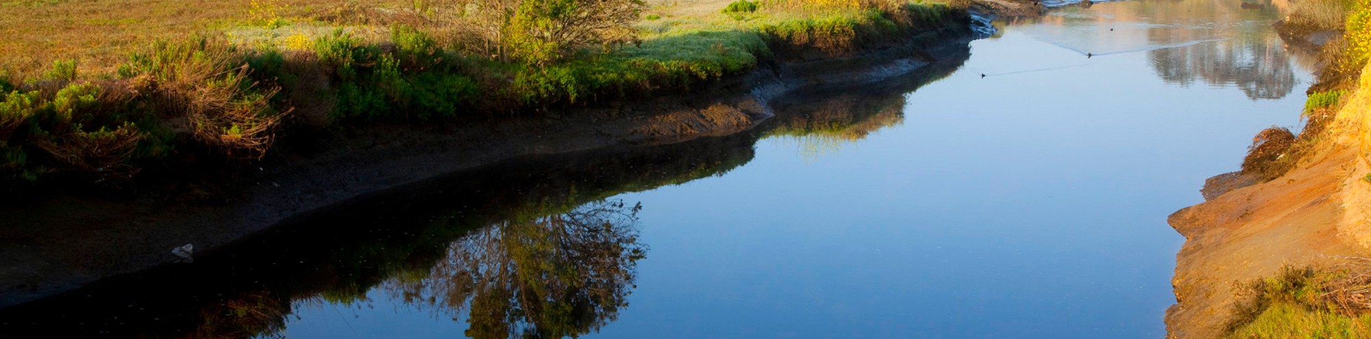 A calm, narrow river flows between grassy, green banks in Upper Newport Bay Nature Reserve, with trees and shrubs reflected in the water under a clear sky.