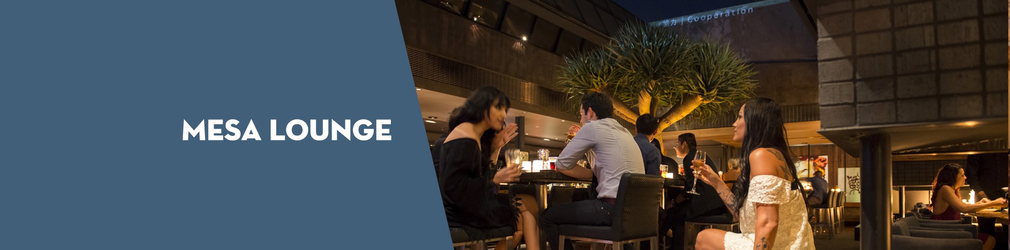 People enjoy drinks and conversation at an outdoor lounge in the evening, with a large tree and warm lighting. The words Mesa Lounge are displayed on a blue panel to the left.