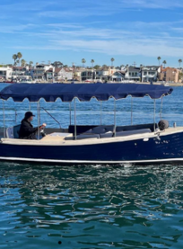 A person steers a blue electric boat with a canopy on calm water, with waterfront houses and palm trees visible in the background under a clear blue sky.