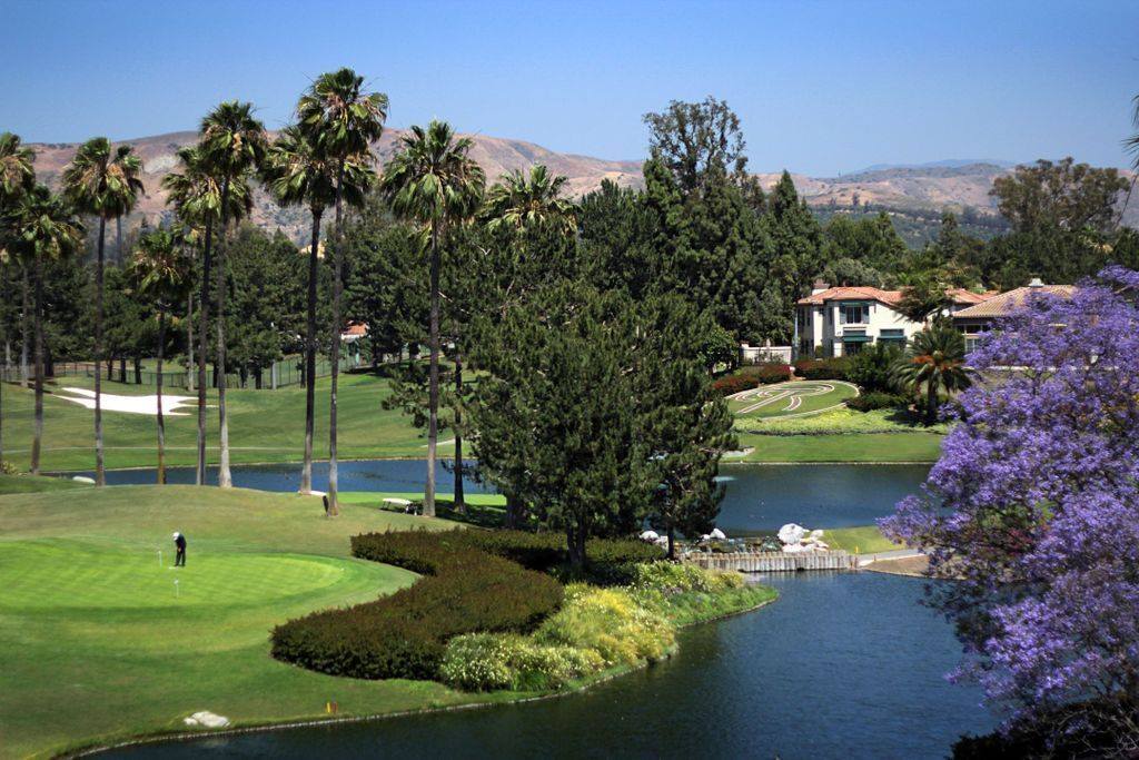 A scenic golf course with lush green fairways, palm trees, a pond, and flowering trees, surrounded by houses and hills under a clear blue sky. A golfer stands on the putting green.