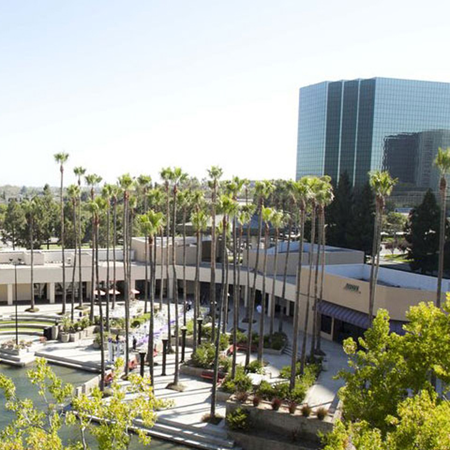 A modern, pet-friendly Costa Mesa office complex with tall glass buildings, a courtyard lined with palm trees, and a reflecting pool on a sunny day.