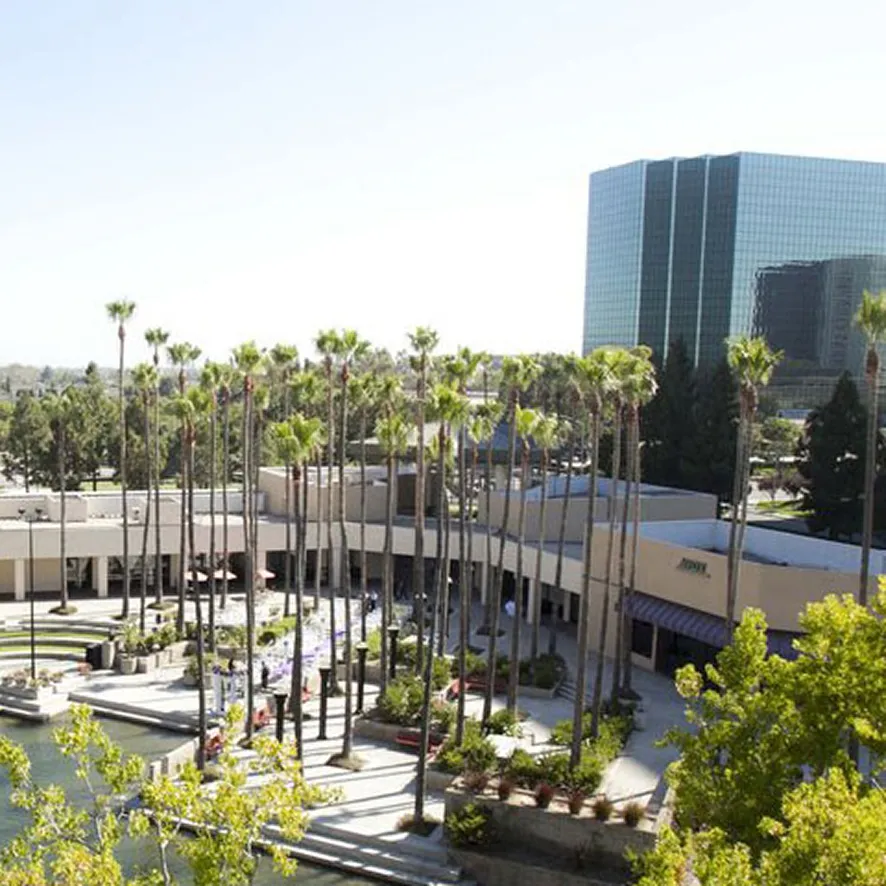 A modern, pet-friendly Costa Mesa office complex with tall glass buildings, a courtyard lined with palm trees, and a reflecting pool on a sunny day.