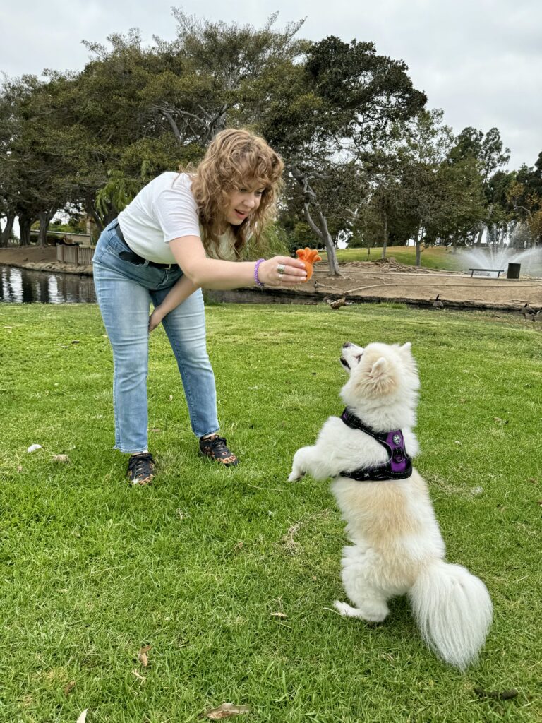 A woman with curly hair holds an orange toy, playfully interacting with a fluffy white dog standing on green grass in a park, not far from the scenic beaches near Costa Mesa, with trees and a pond in the background.