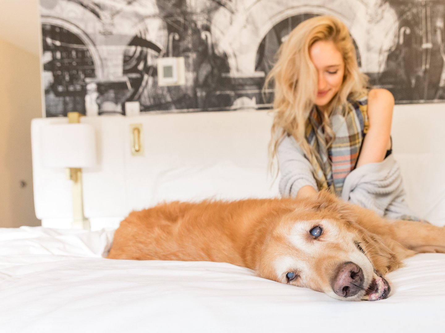 A golden retriever lies comfortably on a white bed in a pet friendly Costa Mesa room, looking at the camera, while a smiling woman with blonde hair sits behind, gently petting it. The space features stylish decor and a black and white mural.