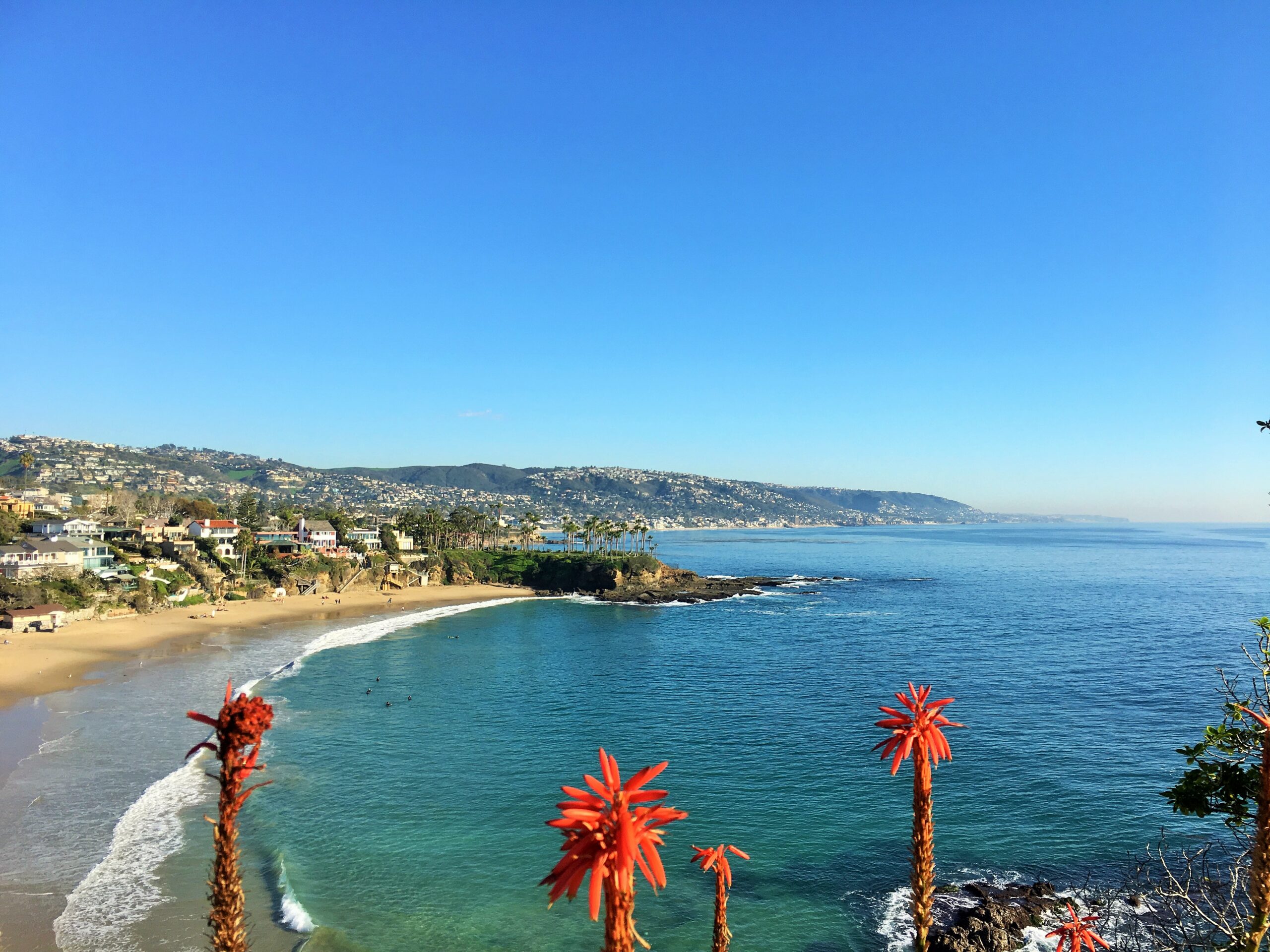 A scenic coastal view with clear blue sky, calm ocean waves, sandy beach, and red flowering plants in the foreground—much like what you might find near Costa Mesa, with houses dotting the green hills in the background.