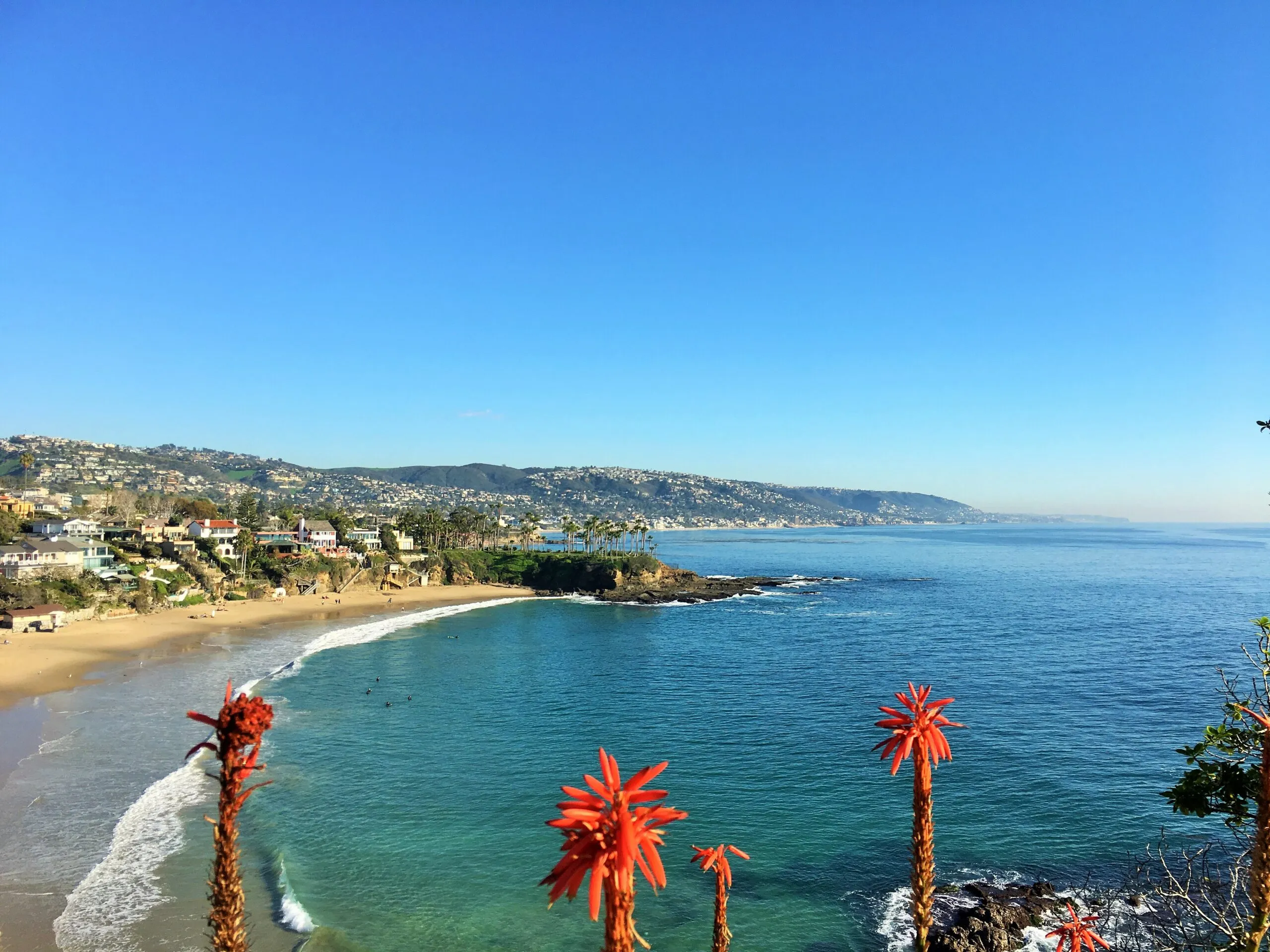 A scenic coastal view with clear blue sky, calm ocean waves, sandy beach, and red flowering plants in the foreground—much like what you might find near Costa Mesa, with houses dotting the green hills in the background.