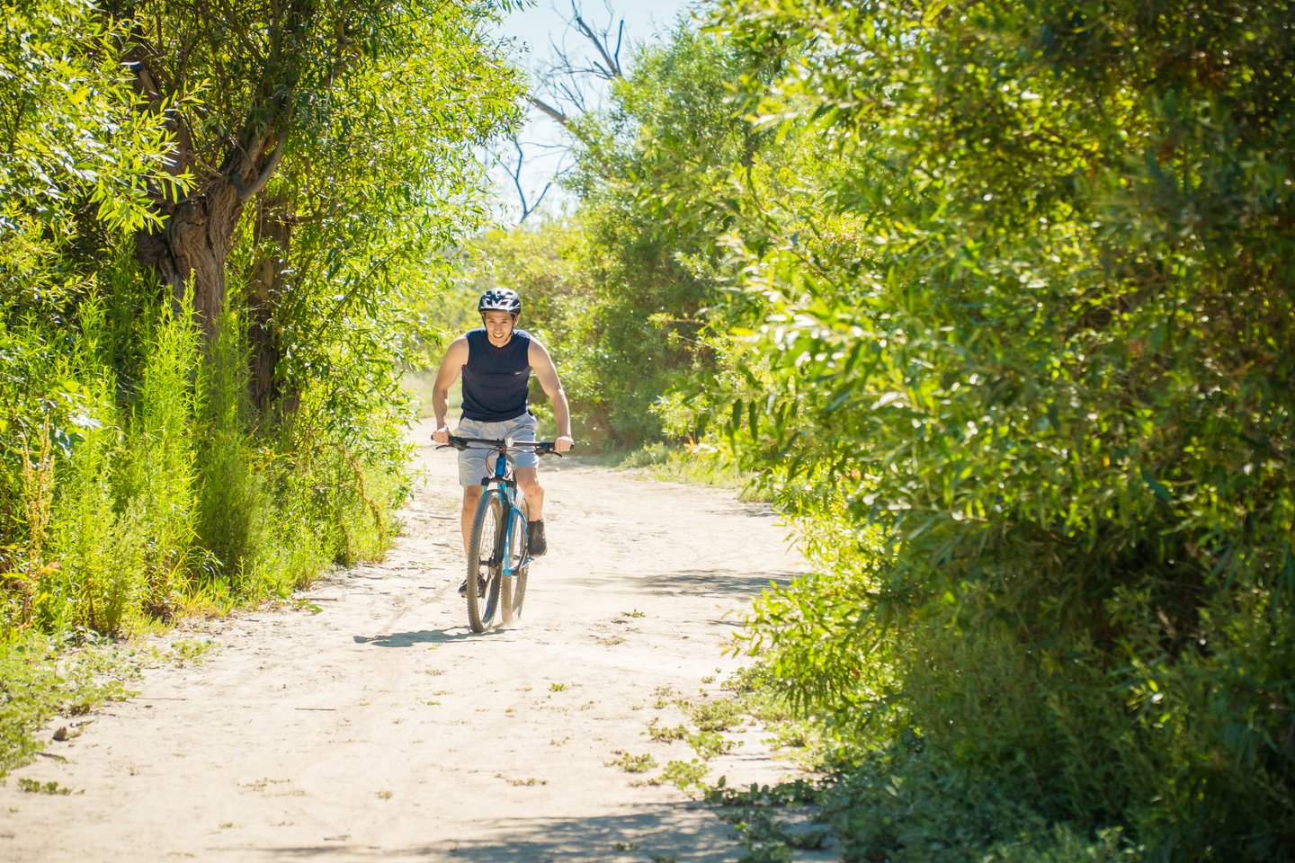 A person wearing a helmet and sunglasses rides a bicycle along a sunny, dirt path surrounded by green trees and bushes.
