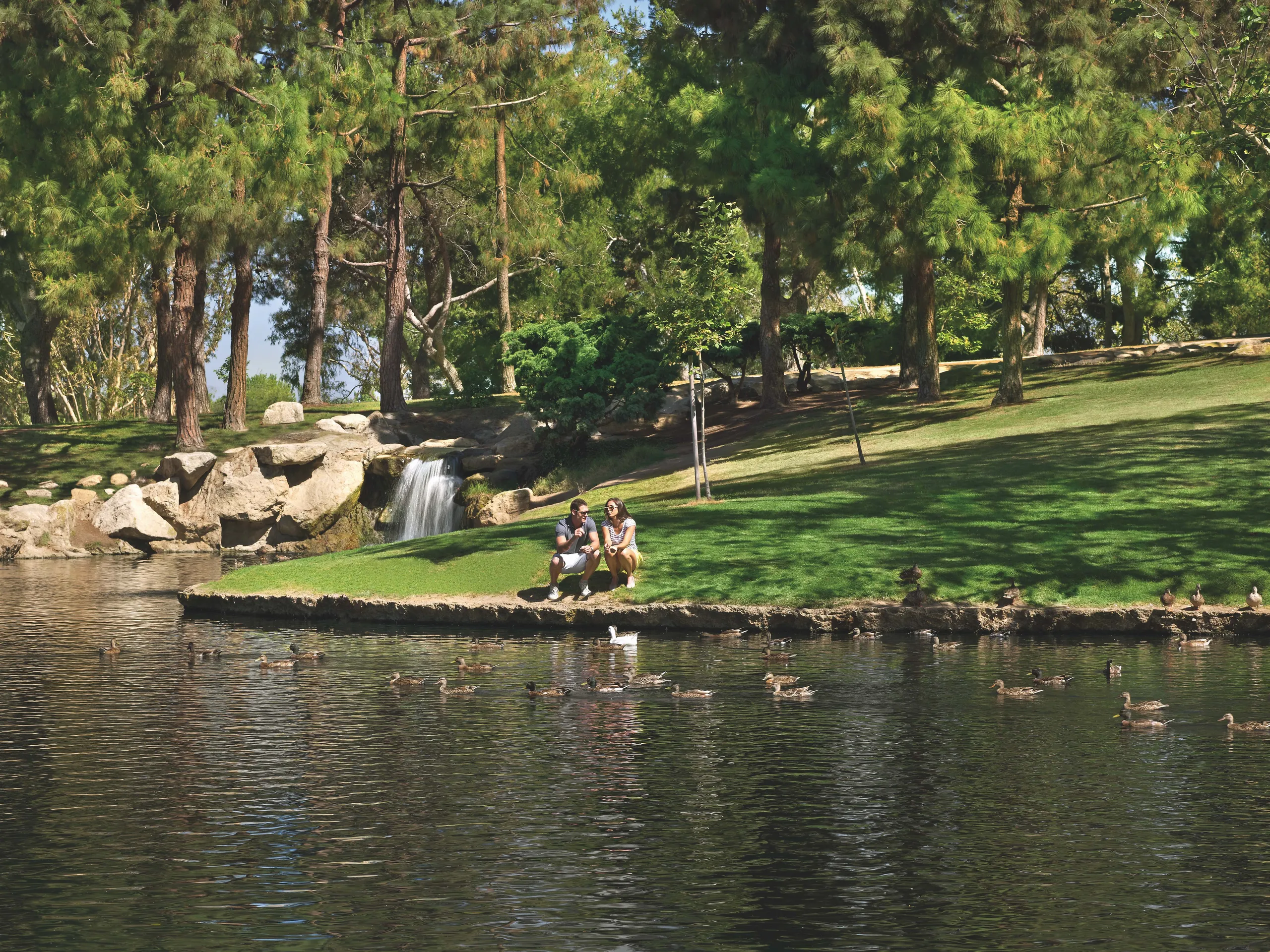Two people sit on a grassy bank near a pond with ducks and geese, surrounded by trees and a small waterfall in the background on a sunny day in the heart of the Central Costa Mesa neighborhood.