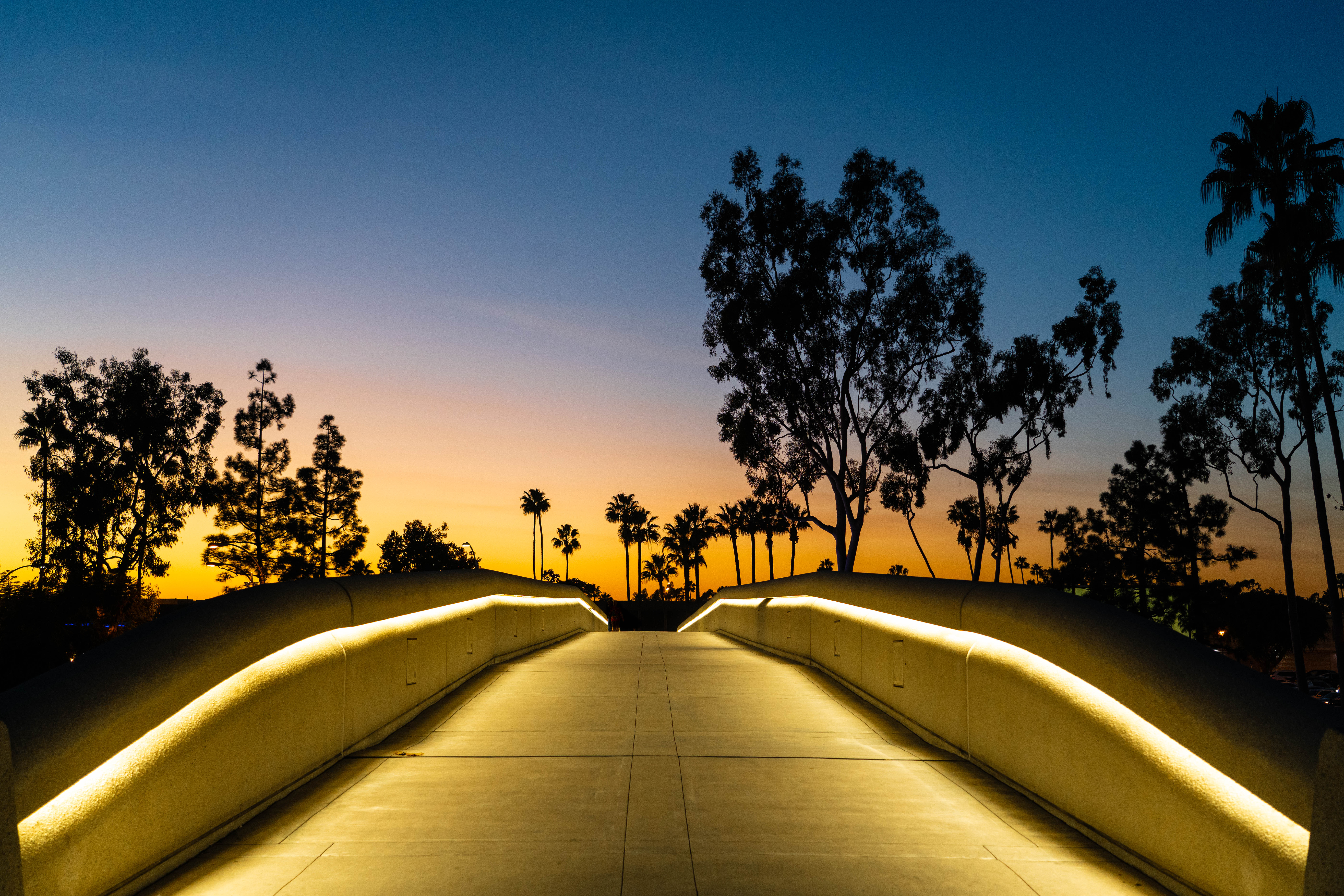 A well-lit pedestrian bridge with curved railings leads toward silhouetted palm trees and tall trees against a colorful sunset sky, capturing the vibrant atmosphere of the Costa Mesa Art Walk.