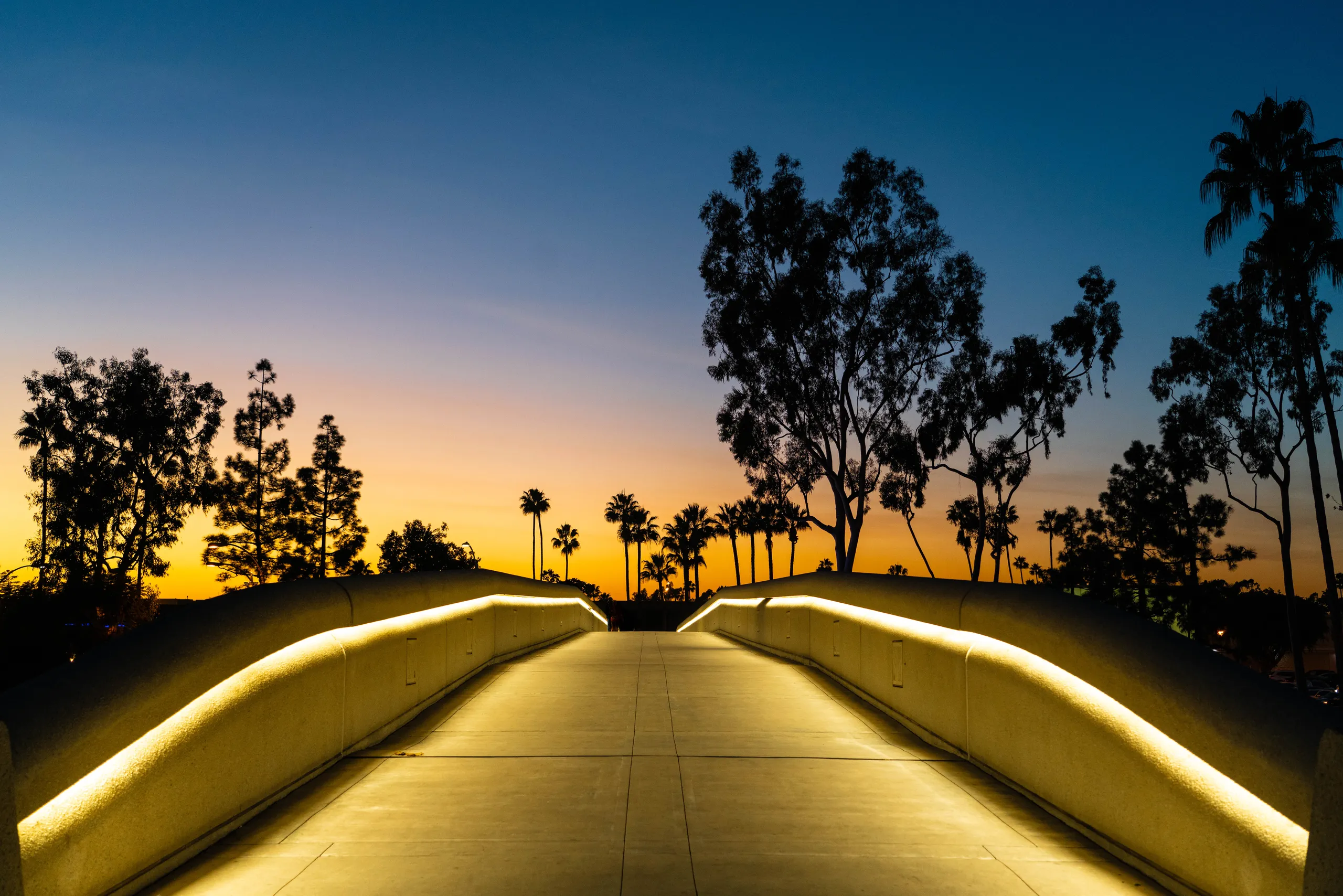 A well-lit pedestrian bridge with curved railings leads toward silhouetted palm trees and tall trees against a colorful sunset sky, capturing the vibrant atmosphere of the Costa Mesa Art Walk.