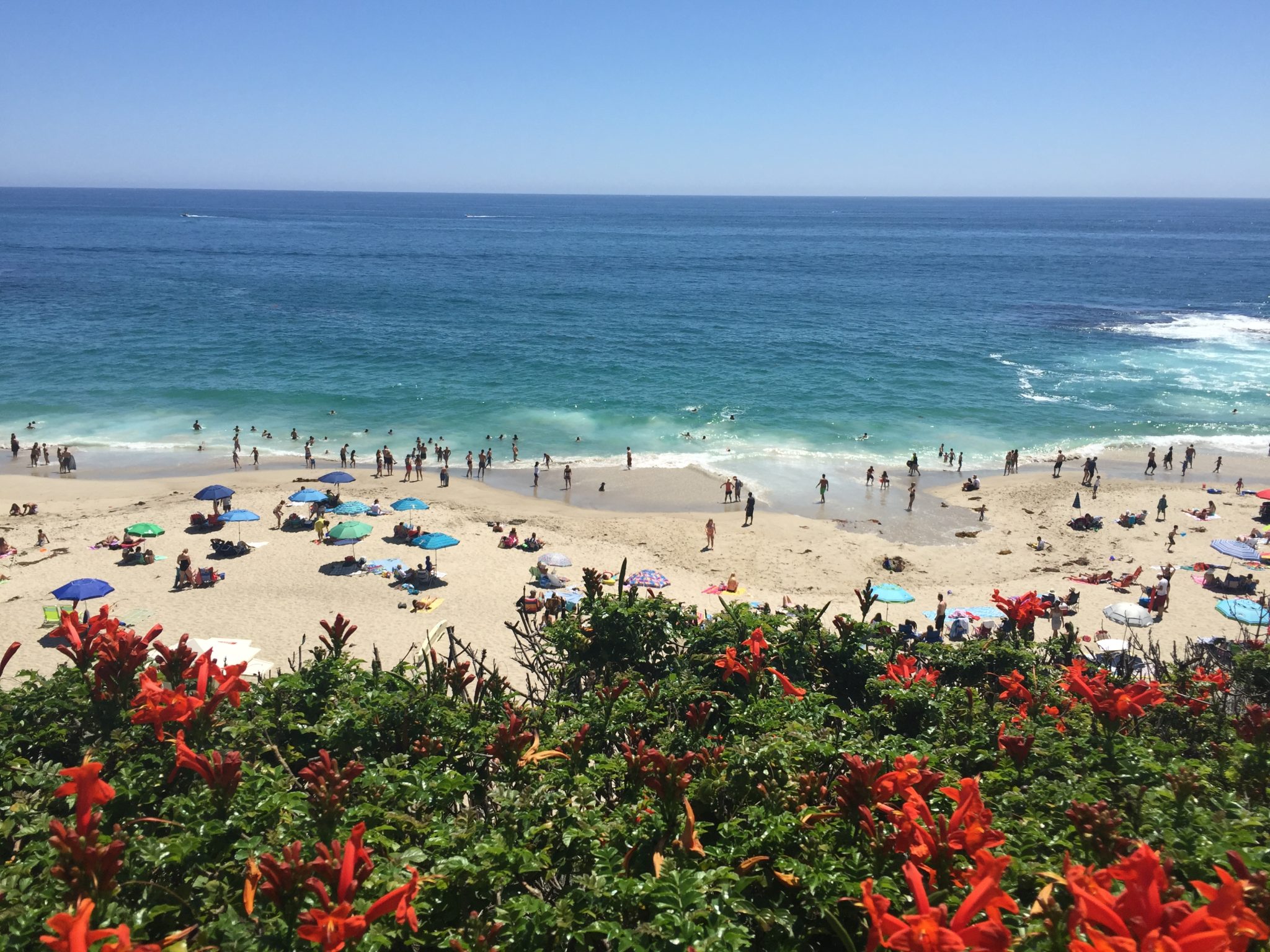 A sunny beach scene with people swimming and relaxing on the sand, colorful umbrellas scattered across the shore, and vibrant orange flowers in the foreground overlooking the blue ocean.