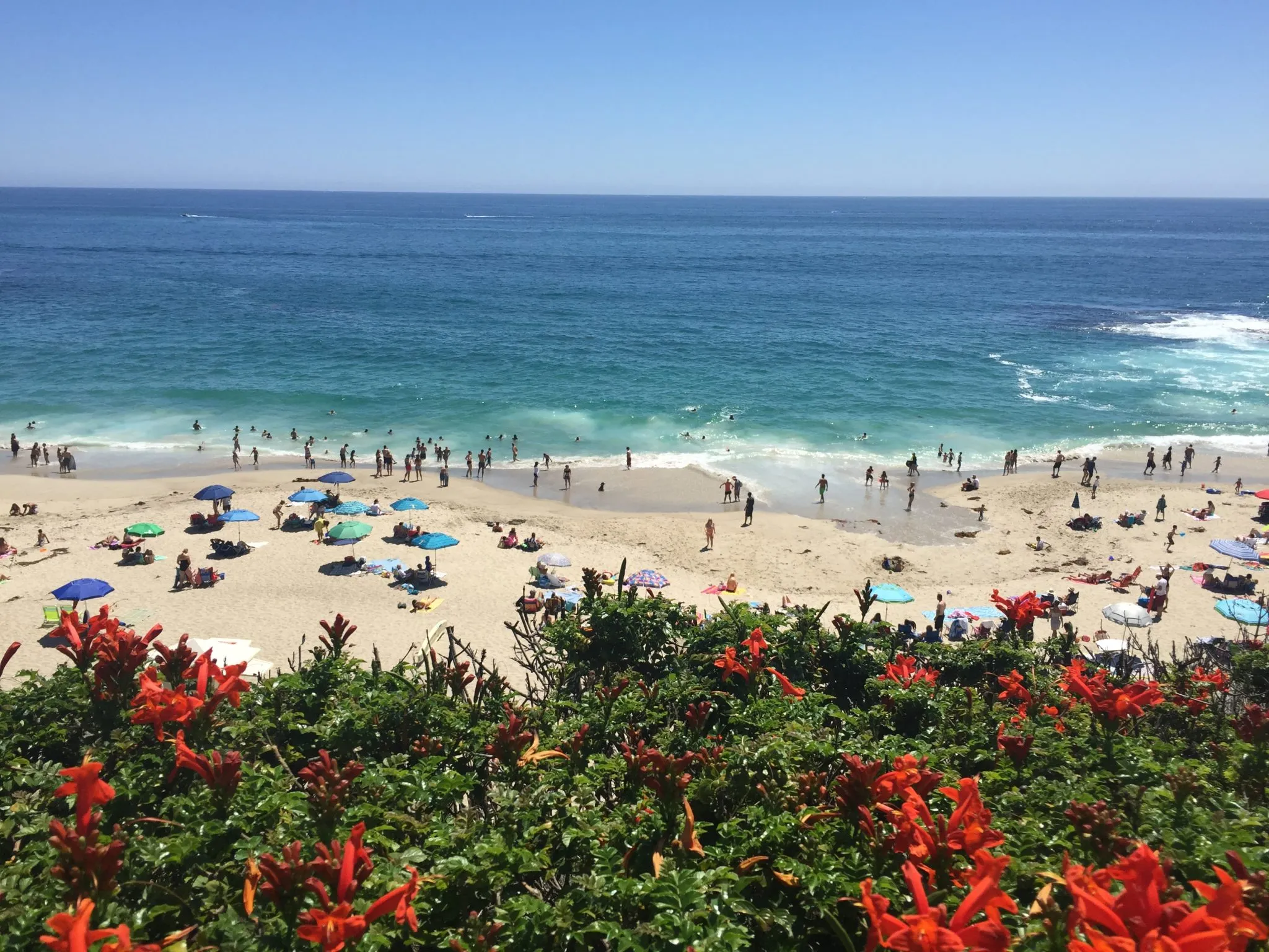 A sunny beach scene with people swimming and relaxing on the sand, colorful umbrellas scattered across the shore, and vibrant orange flowers in the foreground overlooking the blue ocean.