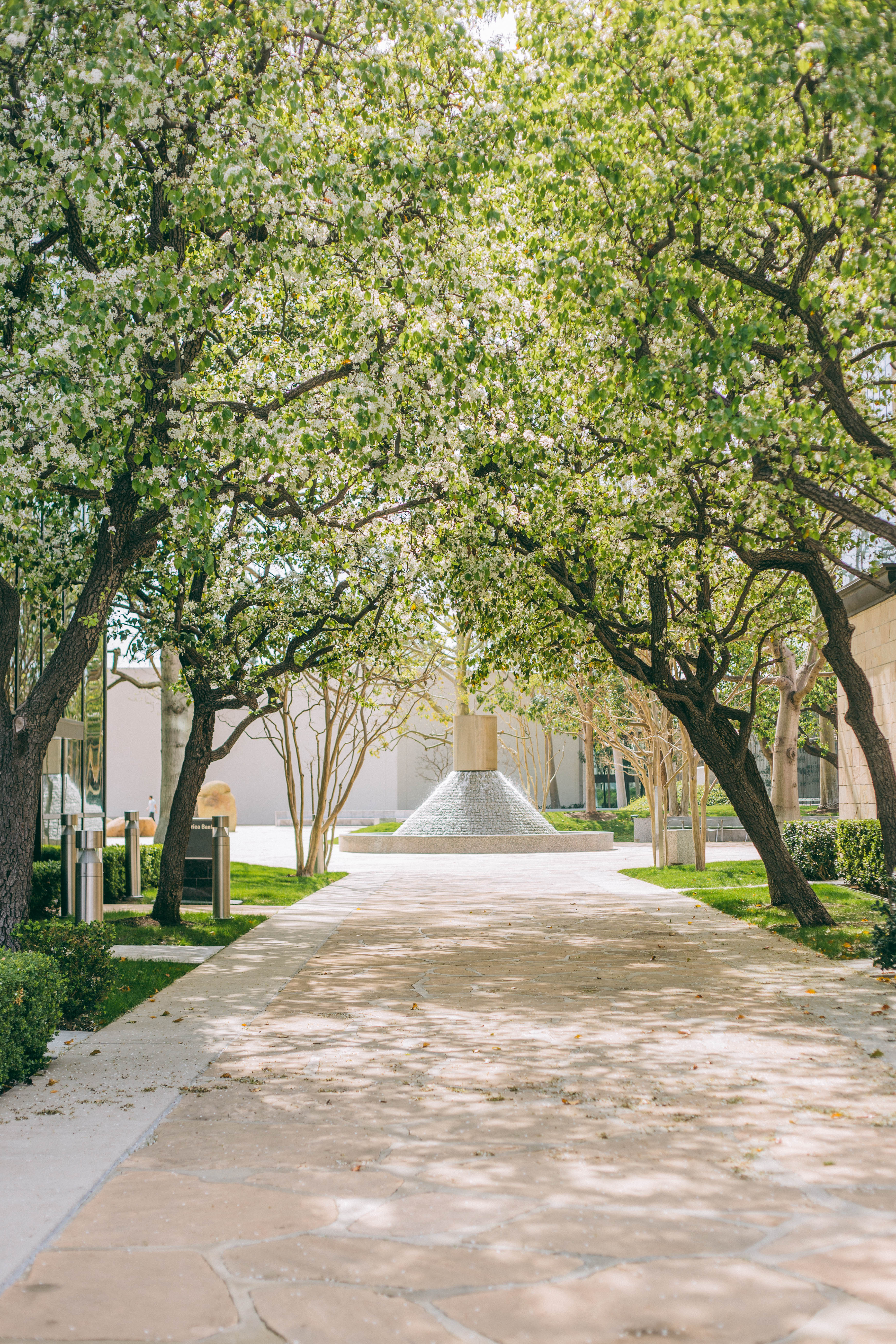 A sunlit stone pathway in Costa Mesa, City of the Arts, lined with leafy, flowering trees leads to a circular water fountain surrounded by greenery and buildings on a bright day.