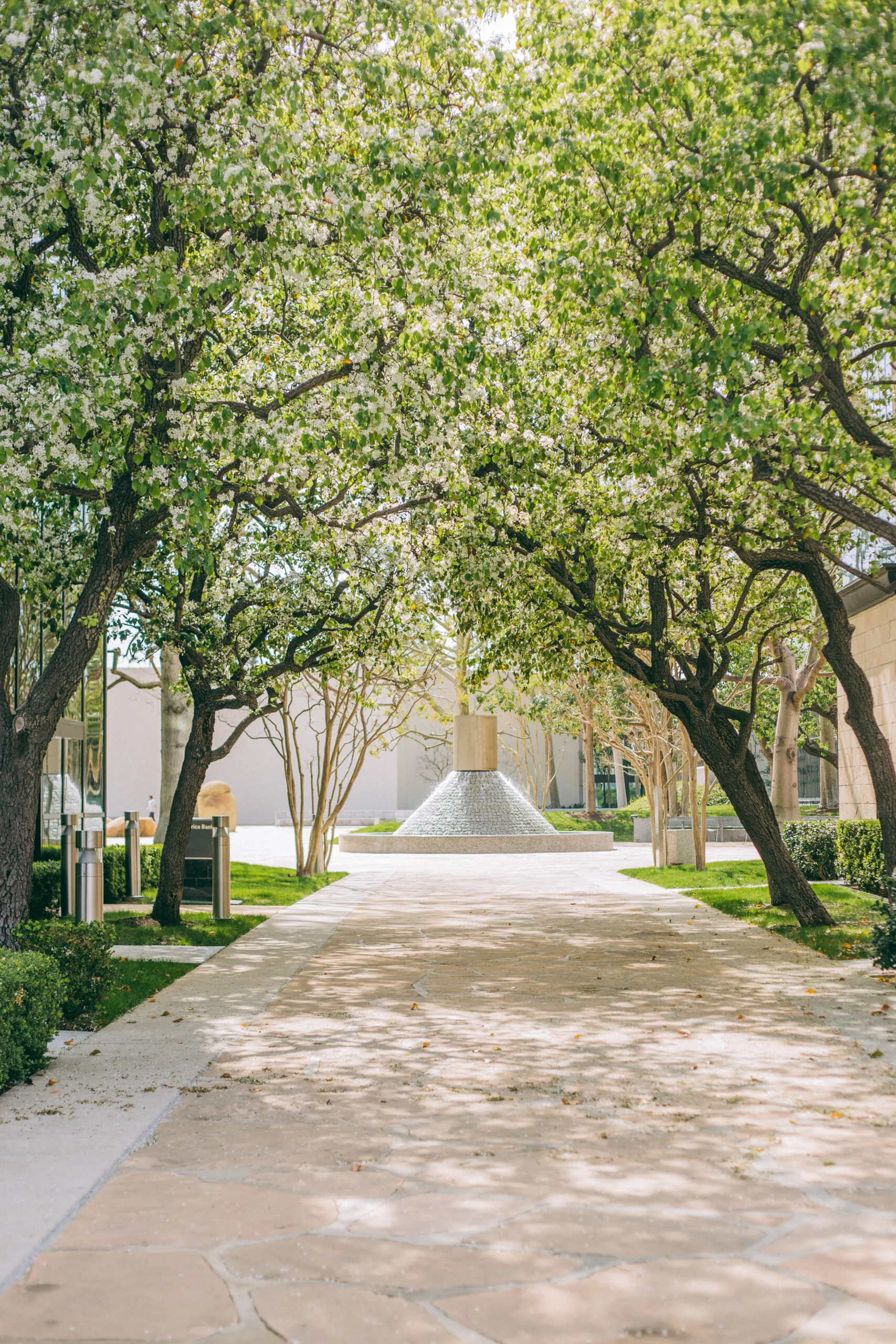 A stone walkway lined with leafy, flowering trees leads to a circular fountain in a bright, landscaped outdoor area. Sunlight filters through the branches, creating dappled shadows on the ground.