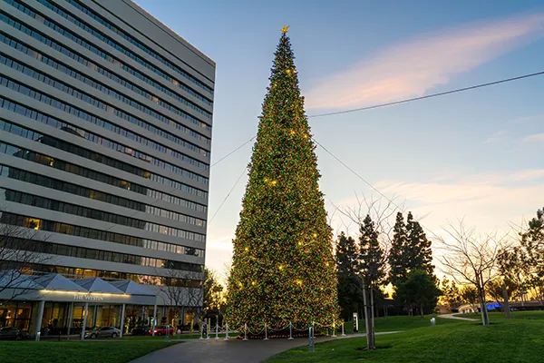 A large, illuminated Christmas tree stands in a park next to The Westin hotel at dusk, a scenic spot for holiday travel.
